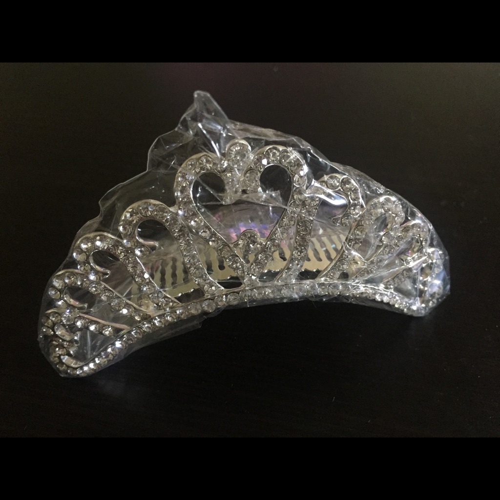 Brand New Wedding Hair Accessories 2 Pieces